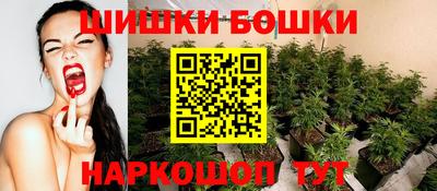 дмт Будённовск